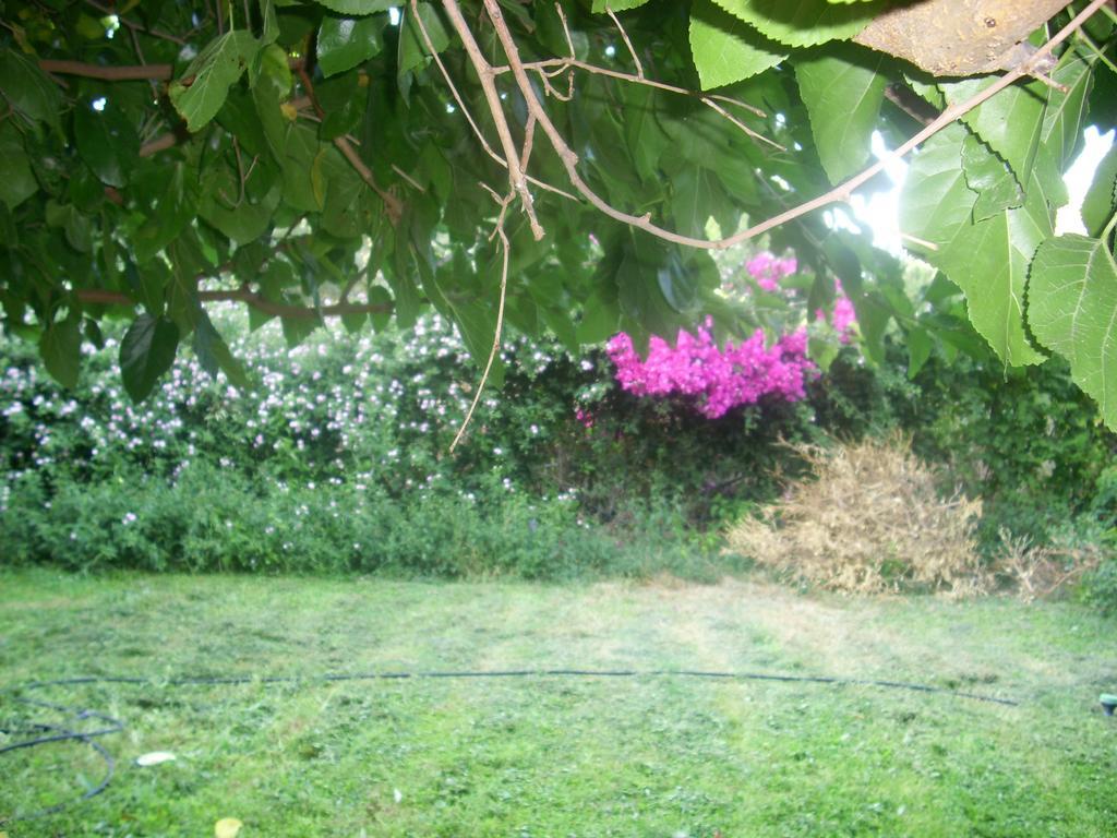 Patriko Country House Vori Ngoại thất bức ảnh